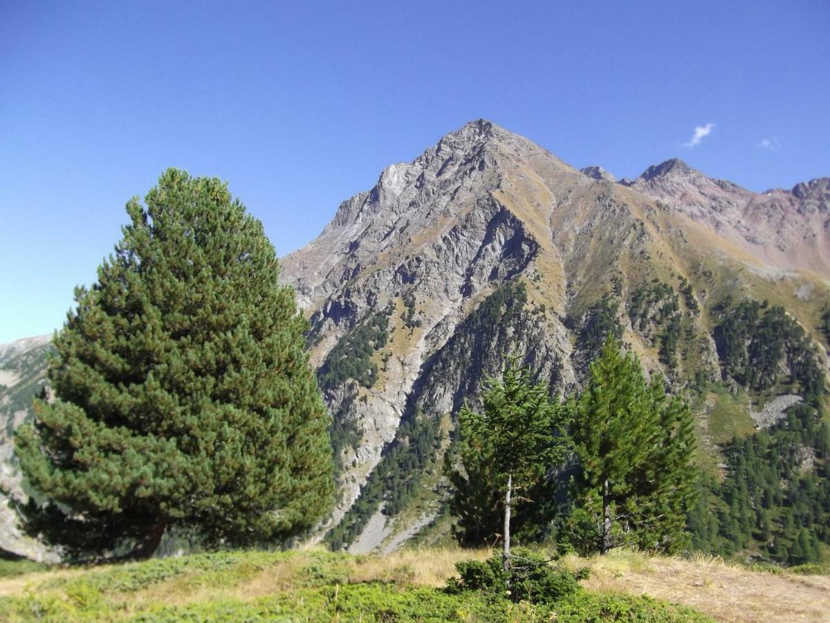Maison Grivon Appartamento Becca Di Nona Aosta Exteriör bild